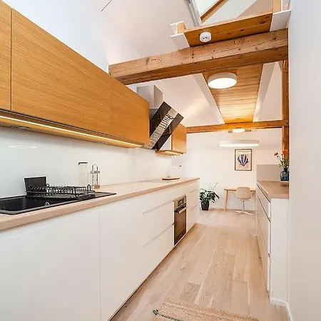 Apartament Fantastic Attic With Big Terrace *