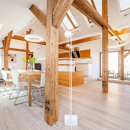 Fantastic Attic With Big Terrace Apartment