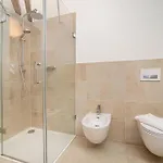 Fantastic Attic With Big Terrace Apartmán Praha