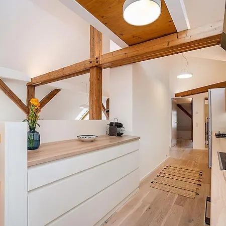 Fantastic Attic With Big Terrace * Prag