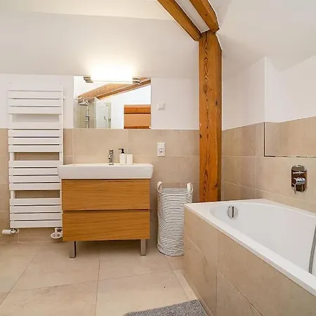 Fantastic Attic With Big Terrace * Praga