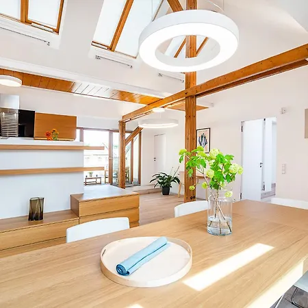 Fantastic Attic With Big Terrace