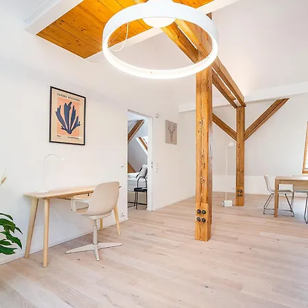 Fantastic Attic With Big Terrace Apartment Prag