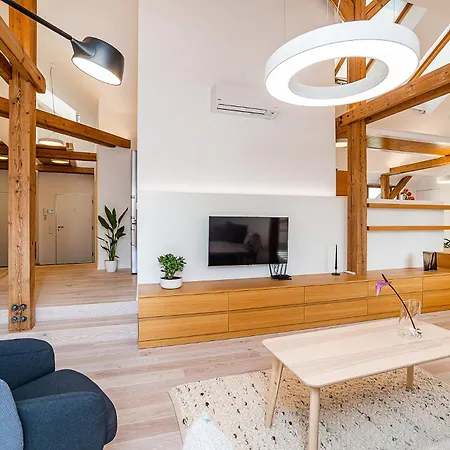 Fantastic Attic With Big Terrace Apartment *