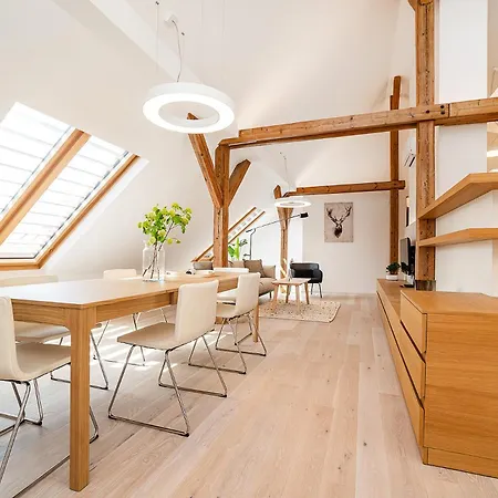 Fantastic Attic With Big Terrace Apartment