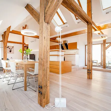 Fantastic Attic With Big Terrace Prag